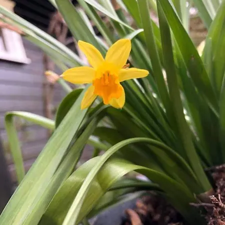 Solasen Pilegrimsgard Main House *