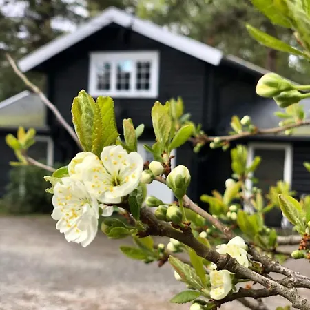 Solasen Pilegrimsgard Main House *