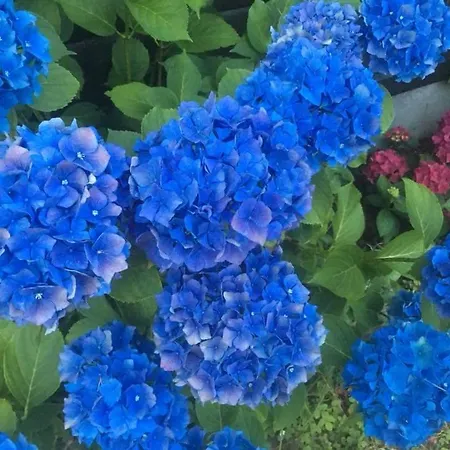 Solasen Pilegrimsgard Main House Vestby (Akershus)