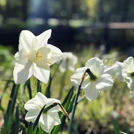 Solasen Pilegrimsgard Main House *